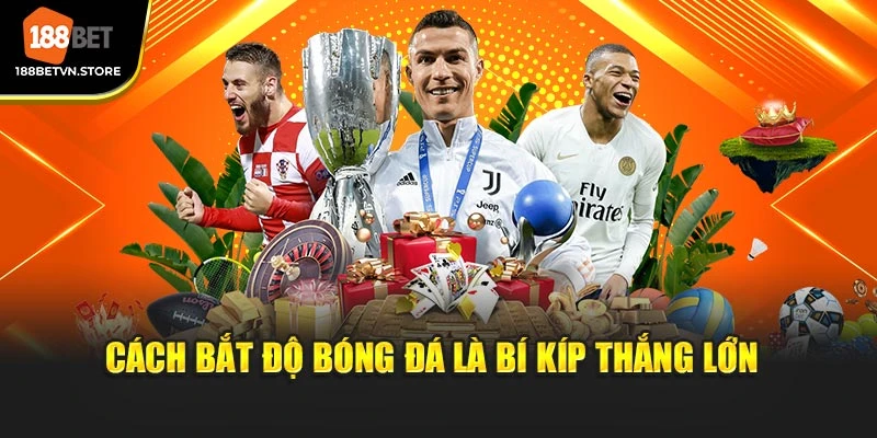 Cách bắt độ bóng đá là bí kíp thắng lớn