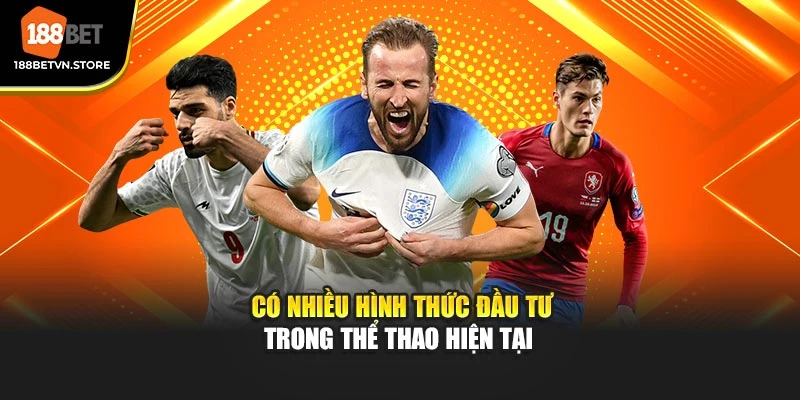 Có nhiều hình thức đầu tư trong thể thao hiện tại 