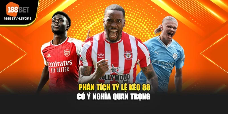 Phân tích tỷ lệ kèo 88 có ý nghĩa quan trọng 
